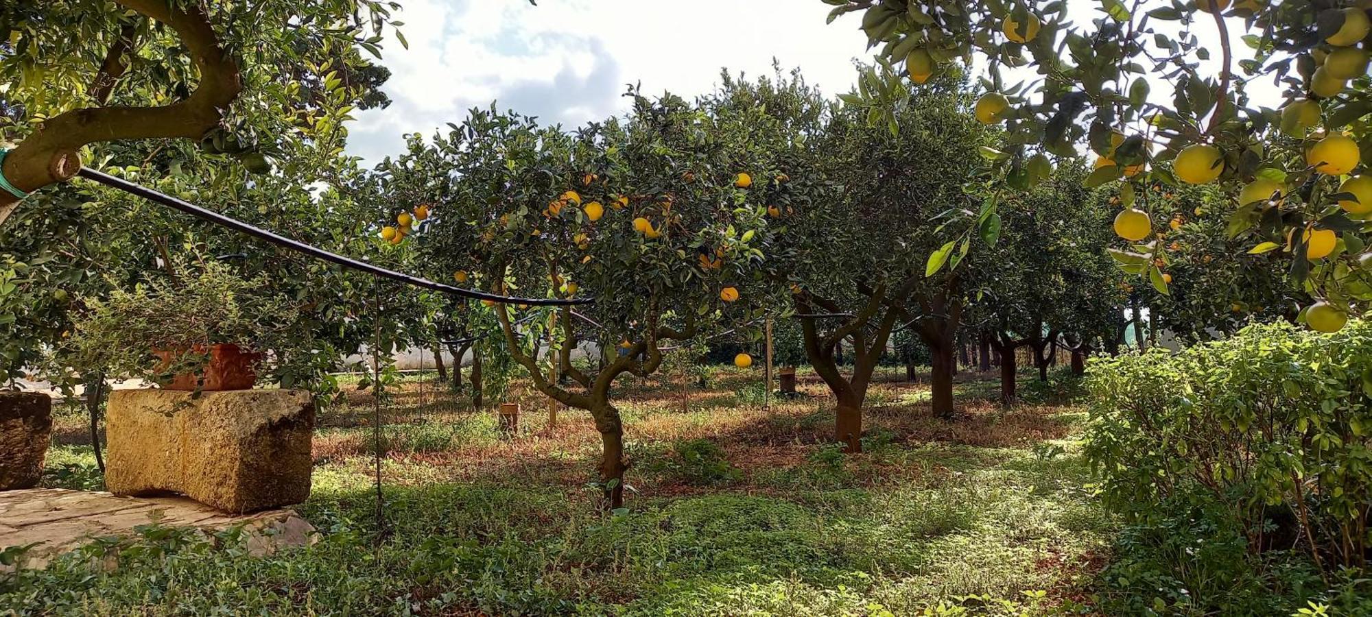 Baglio Spano - Antiche Dimore Di Sicilia Petrosino Exteriör bild
